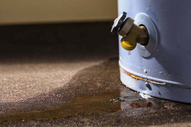 Best Residential water damage restoration  in Dyersville, IA