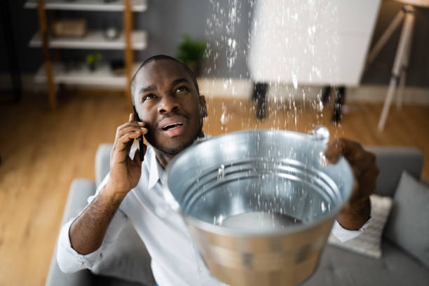 Best Flood damage cleanup  in Dyersville, IA