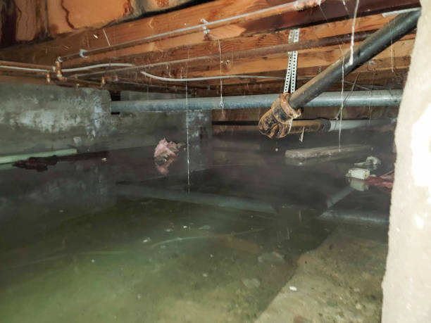 Best Fire Damage Restoration  in Dyersville, IA