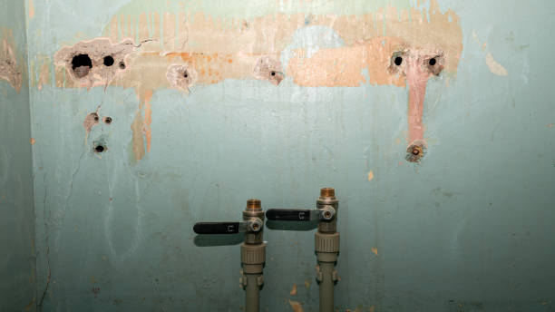 Best 24-hour water damage restoration  in Dyersville, IA